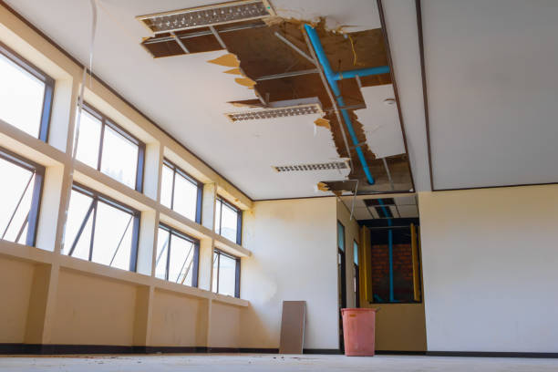Best Ceiling water damage repair  in Peoria Heights, IL