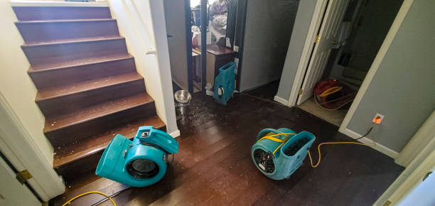 Best Commercial water damage restoration  in Peoria Heights, IL