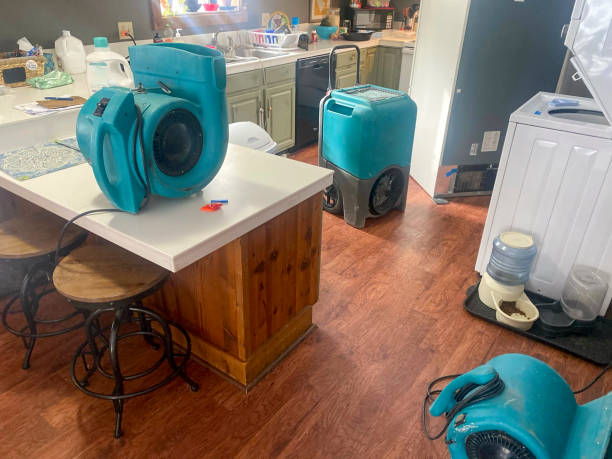 Best Water damage restoration company  in Peoria Heights, IL