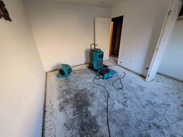 Best Flooded house restoration  in Peoria Heights, IL