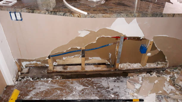 Best Water damage restoration near me  in Peoria Heights, IL