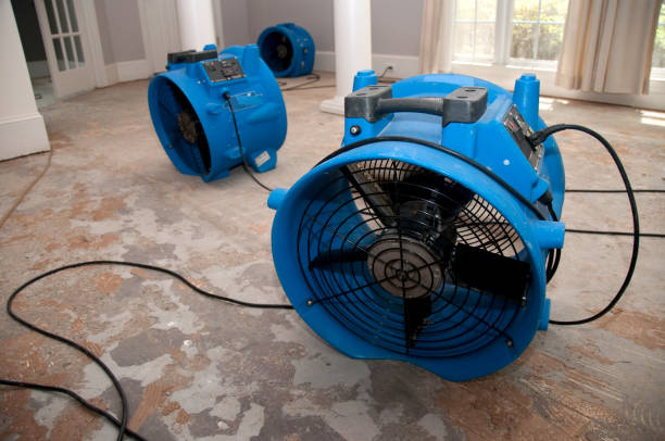Best Fire Damage Restoration  in Peoria Heights, IL