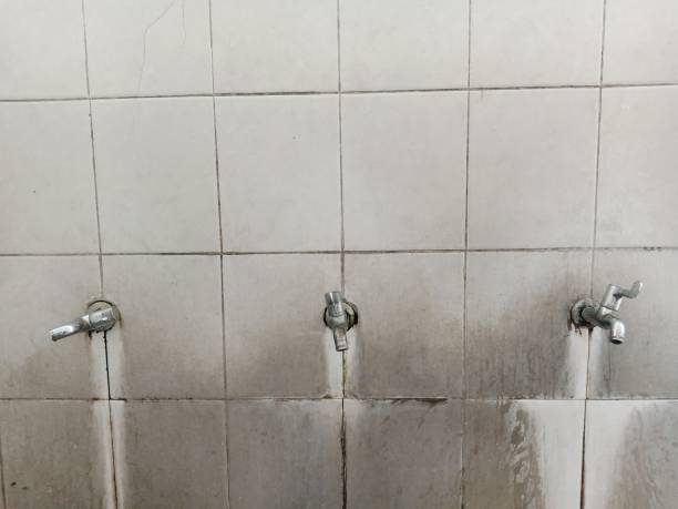 Best Sewage cleanup and water damage restoration  in Peoria Heights, IL