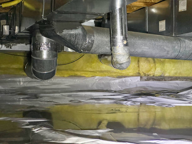 Best Flood damage cleanup  in Peoria Heights, IL