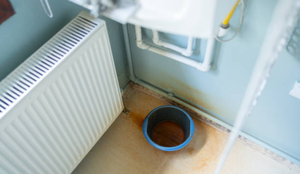 Best Water damage contractors near me  in Peoria Heights, IL