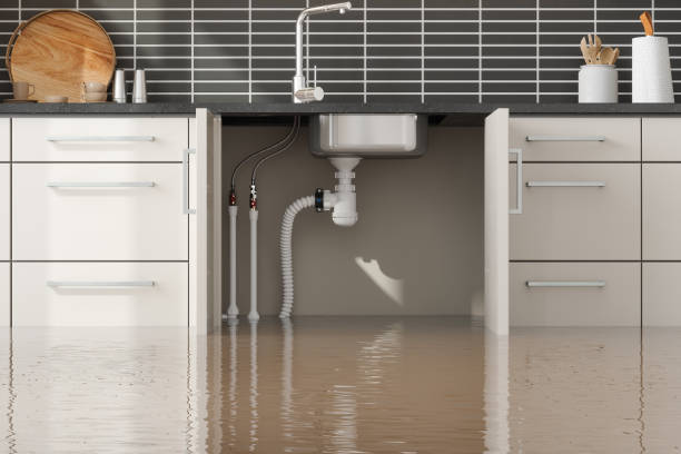 Best Water damage restoration experts  in Peoria Heights, IL