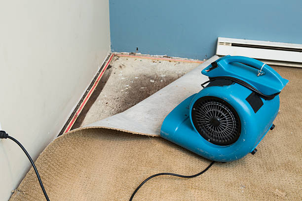 Best Residential water damage restoration  in Peoria Heights, IL